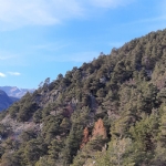 panorama montagna